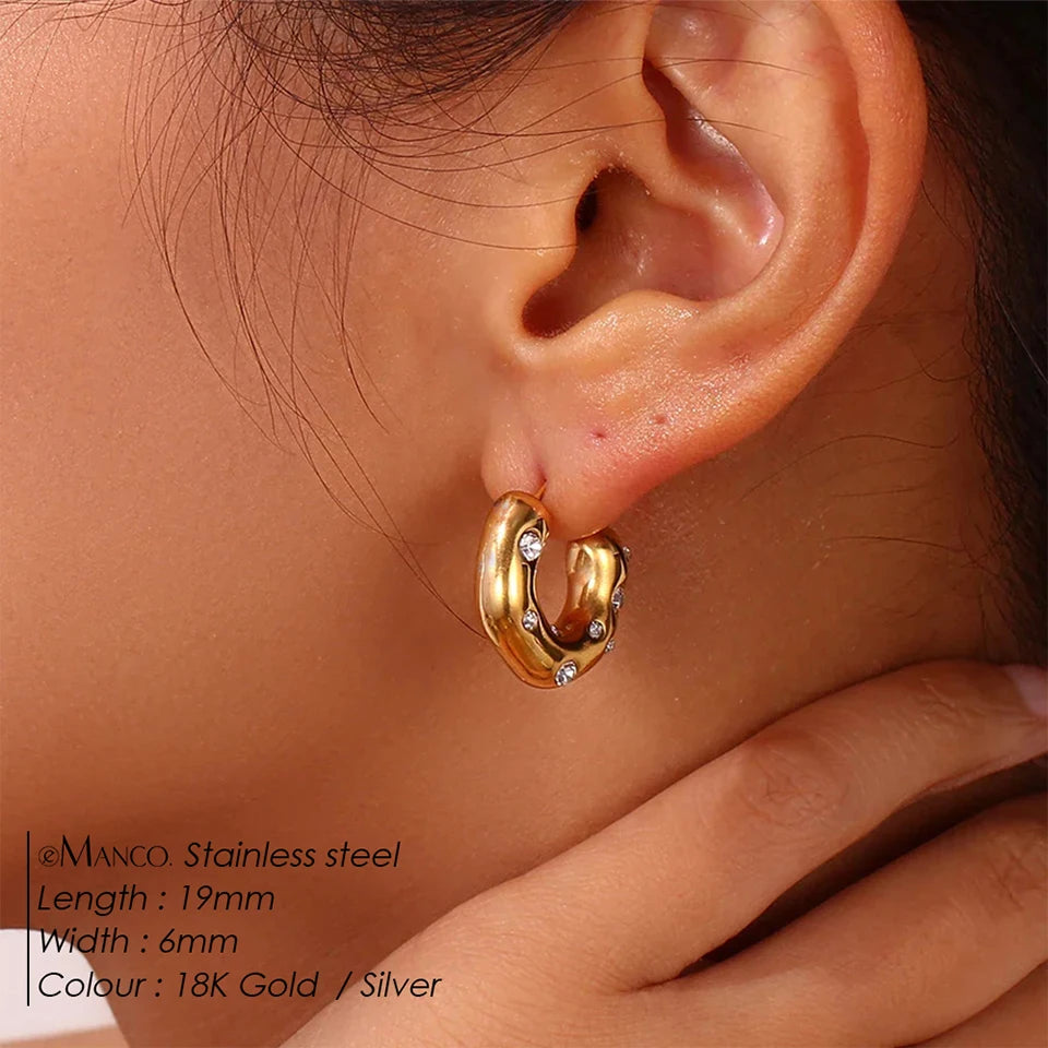 Sparkling Rhinestones  Earrings