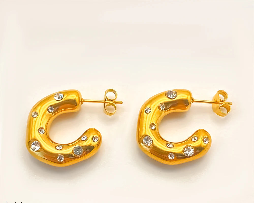 Sparkling Rhinestones  Earrings